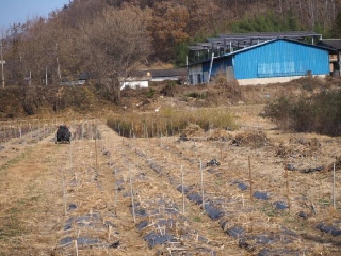 경남 밀양시 초동면 답 경매 물건 사진 5 · 2025타경10573
