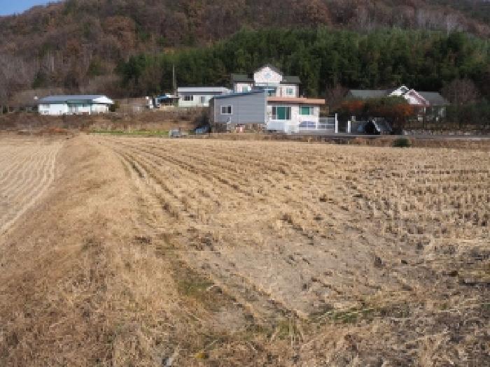 경남 밀양시 초동면 임야 경매 물건 사진 3 · 2025타경10582