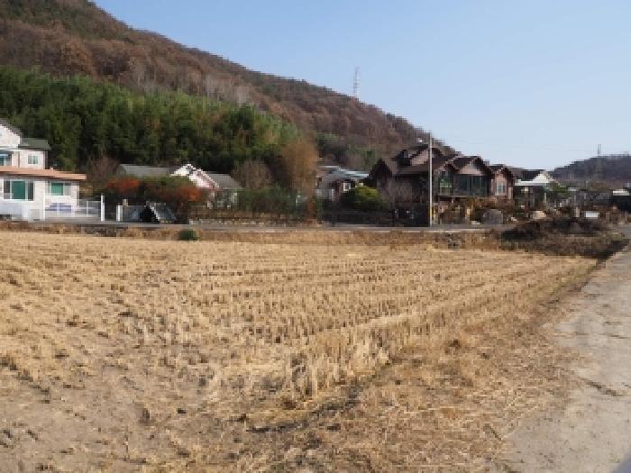 경남 밀양시 초동면 임야 경매 물건 사진 4 · 2025타경10582