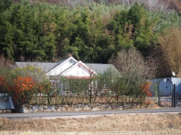 경남 밀양시 초동면 임야 경매 물건 사진 5 · 2025타경10582