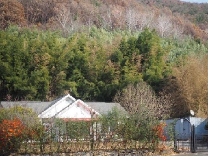경남 밀양시 초동면 임야 경매 물건 사진 6 · 2025타경10582