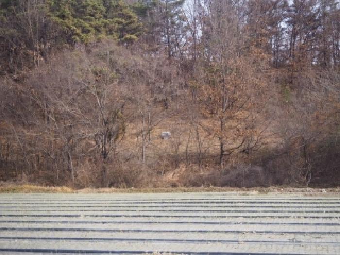 경남 창녕군 남지읍 전 경매 물건 사진