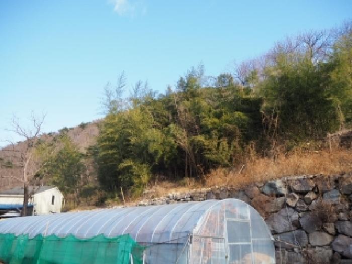 경남 밀양시 삼랑진읍 도로 경매 물건 사진 3 · 2025타경10597
