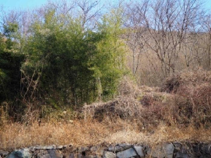 경남 밀양시 삼랑진읍 도로 경매 물건 사진 5 · 2025타경10597
