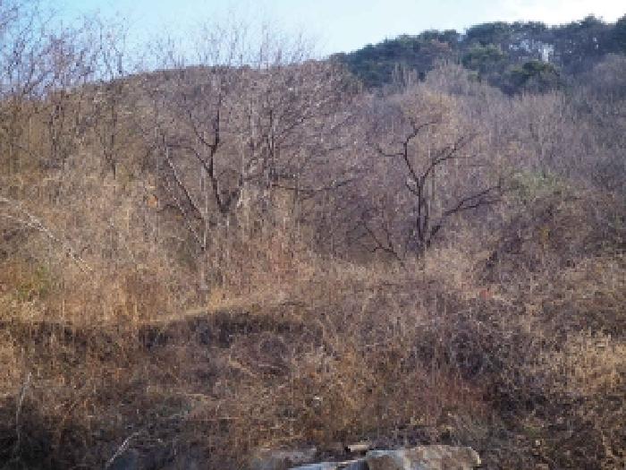 경남 밀양시 삼랑진읍 도로 경매 물건 사진 6 · 2025타경10597