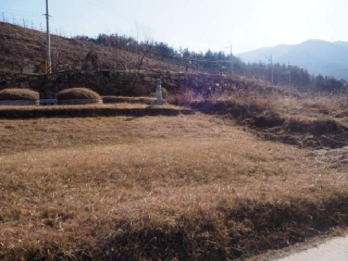 경남 밀양시 산내면 전답 경매 물건 사진 3 · 2025타경10614