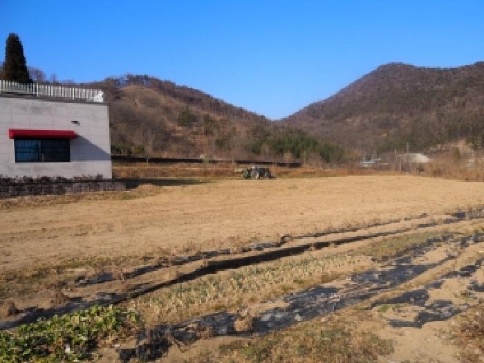 경남 밀양시 부북면 전답 경매 물건 사진 4 · 2025타경10620