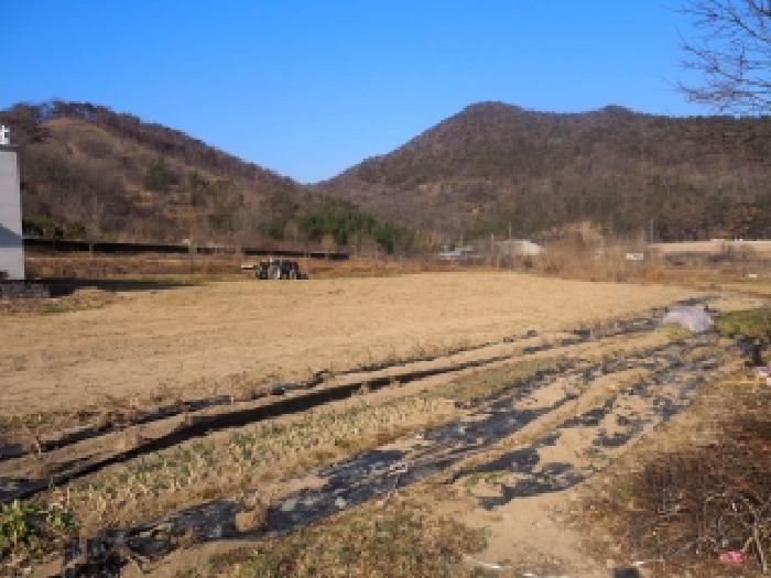경남 밀양시 부북면 전답 경매 물건 사진 5 · 2025타경10620