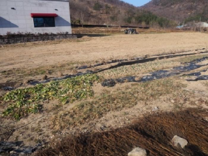 경남 밀양시 부북면 전답 경매 물건 사진 2 · 2025타경10620