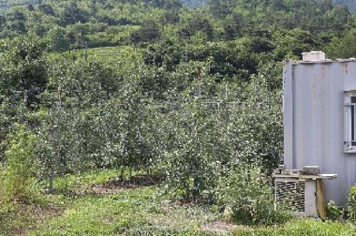 경남 밀양시 산내면 답 경매 물건 사진 2 · 2025타경1073