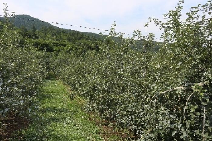 경남 밀양시 산내면 답 경매 물건 사진 6 · 2025타경1073