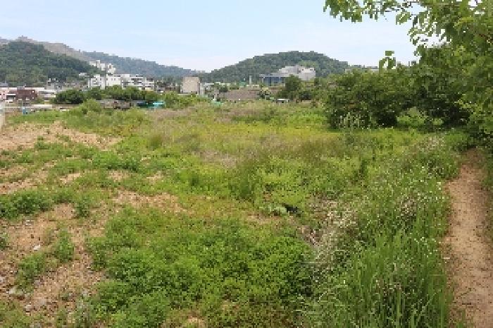 경남 밀양시 교동 답 경매 물건 사진