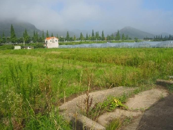 경남 밀양시 상남면 전답 경매 물건 사진