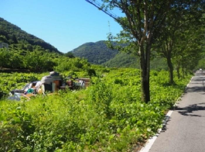 경남 밀양시 단장면 답 경매 물건 사진 2 · 2025타경1424