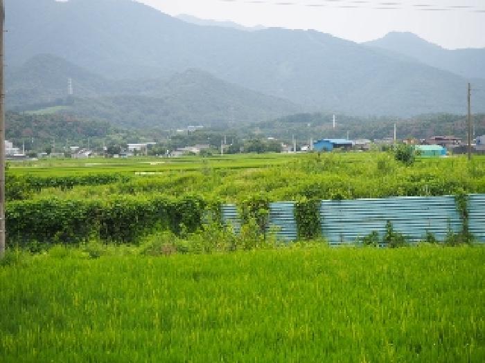 경남 창녕군 고암면 답 경매 물건 사진 3 · 2025타경1455
