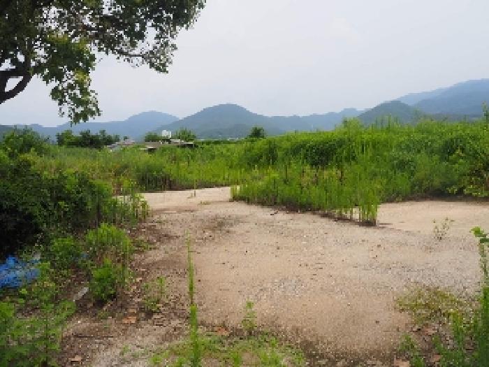 경남 창녕군 고암면 답 경매 물건 사진 6 · 2025타경1455