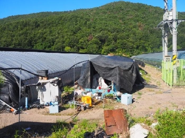 경남 밀양시 부북면 답 경매 물건 사진 5 · 2025타경1462