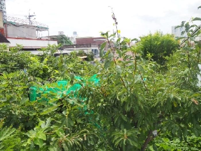 경남 밀양시 가곡동 대지 경매 물건 사진
