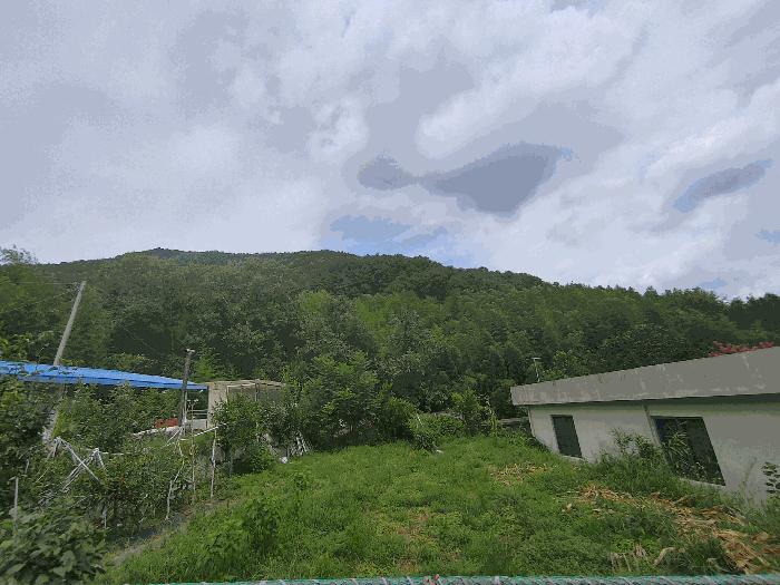 경남 밀양시 무안면 전 경매 물건 사진 3 · 2025타경1554