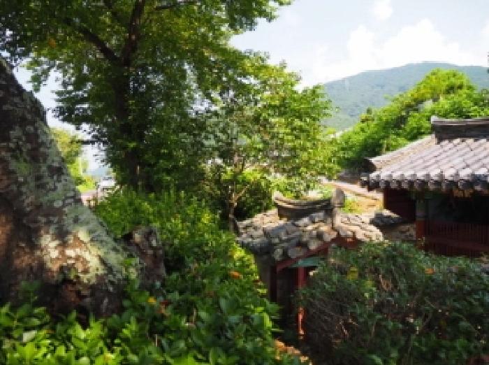 경남 창녕군 성산면 임야 경매 물건 사진 2 · 2025타경1561