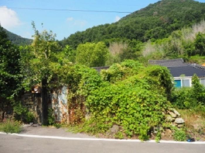 경남 창녕군 성산면 임야 경매 물건 사진 3 · 2025타경1561