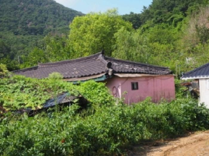 경남 창녕군 성산면 임야 경매 물건 사진 5 · 2025타경1561