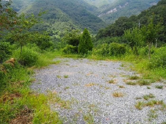 경남 밀양시 단장면 근린생활시설 경매 물건 사진 4 · 2025타경1592