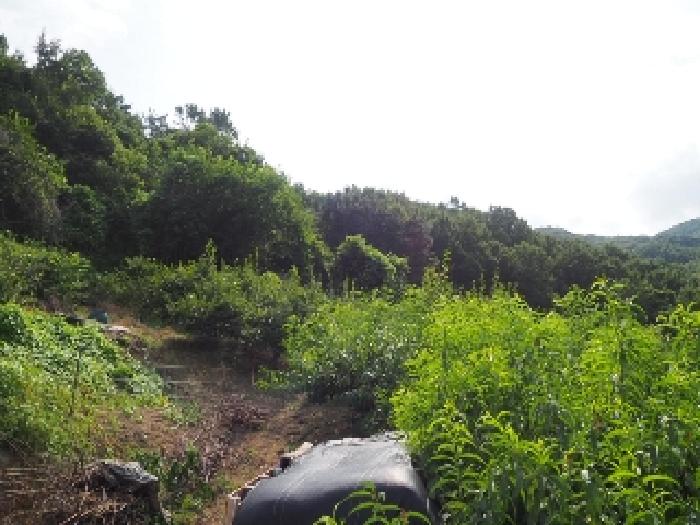 경남 밀양시 삼랑진읍 전 경매 물건 사진 3 · 2025타경1608