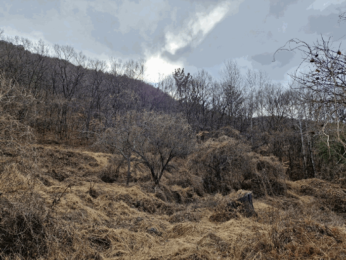 경남 밀양시 무안면 임야 경매 물건 사진 6 · 2025타경179