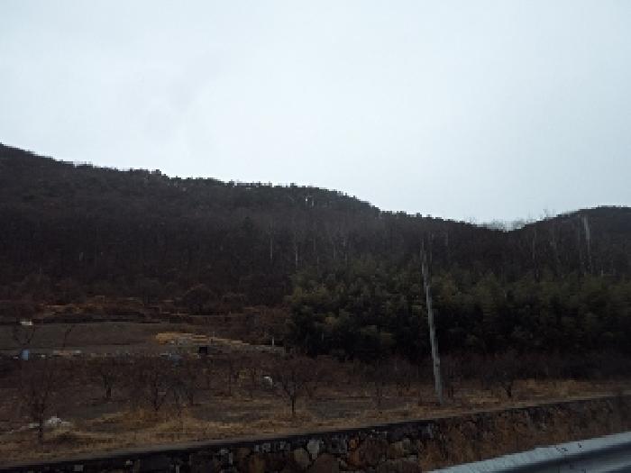 경남 밀양시 무안면 임야 경매 물건 사진