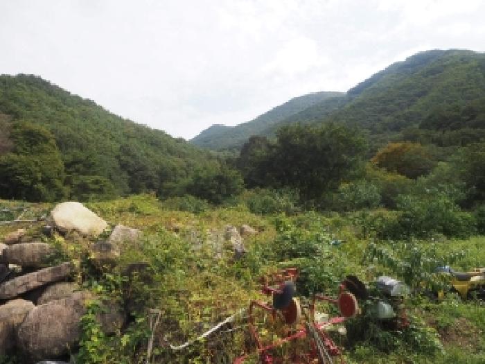 경남 밀양시 삼랑진읍 답 경매 물건 사진