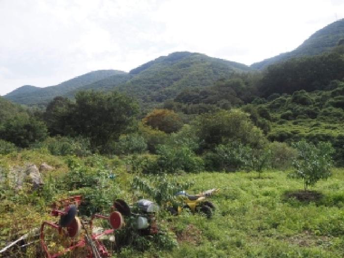 경남 밀양시 삼랑진읍 답 경매 물건 사진 2 · 2025타경1868