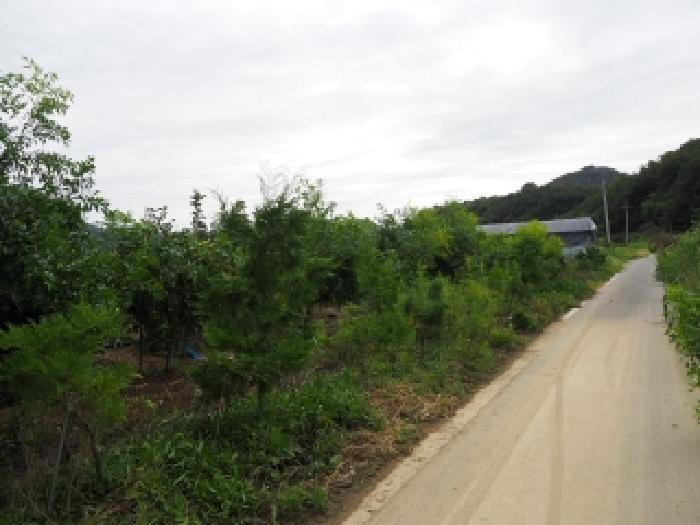 경남 창녕군 성산면 답 경매 물건 사진 2 · 2025타경1875