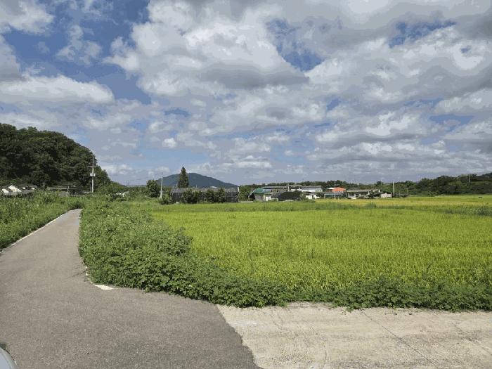 경남 창녕군 성산면 답 경매 물건 사진 6 · 2025타경1875