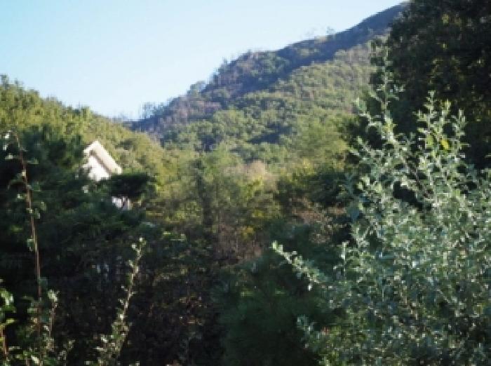 경남 밀양시 부북면 전답 경매 물건 사진