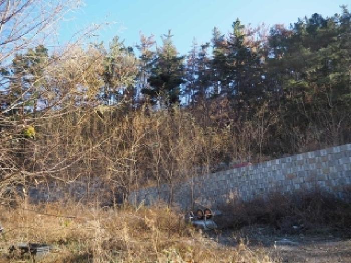 경남 창녕군 성산면 도로 경매 물건 사진 2 · 2025타경2144