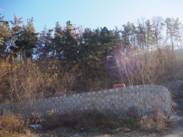 경남 창녕군 성산면 도로 경매 물건 사진 3 · 2025타경2144