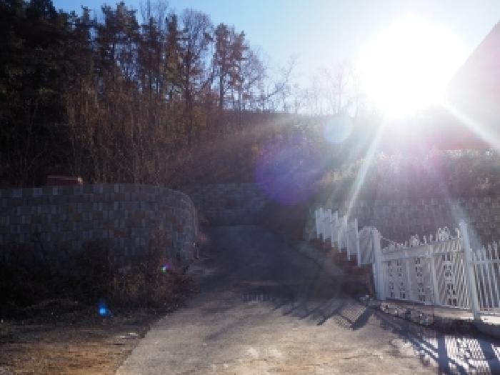 경남 창녕군 성산면 도로 경매 물건 사진 4 · 2025타경2144