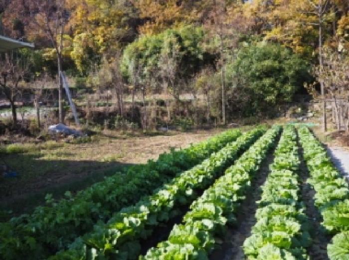 경남 밀양시 산내면 전답 경매 물건 사진 3 · 2025타경2182