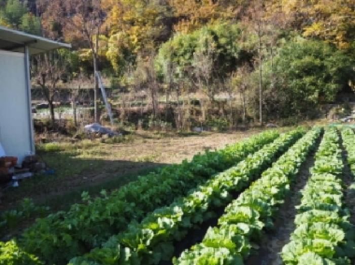 경남 밀양시 산내면 전답 경매 물건 사진