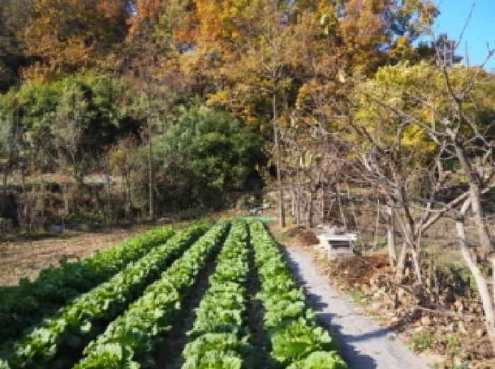 경남 밀양시 산내면 전답 경매 물건 사진 2 · 2025타경2182