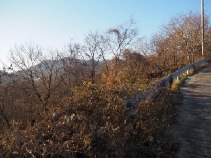 경남 밀양시 상남면 임야 경매 물건 사진 2 · 2025타경2212