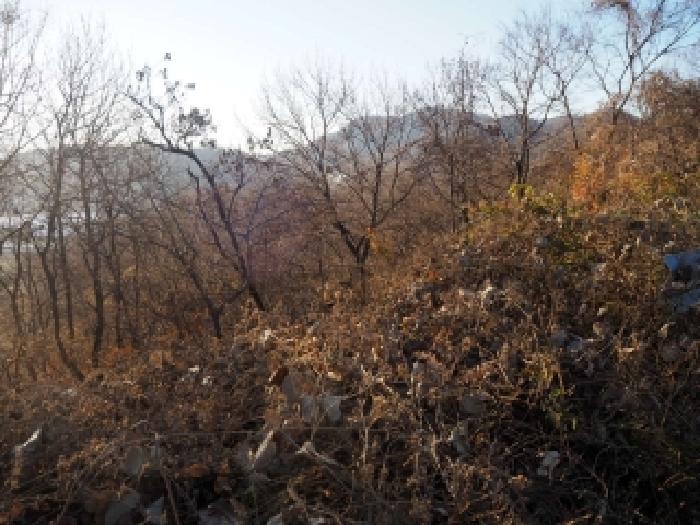 경남 밀양시 상남면 임야 경매 물건 사진 3 · 2025타경2212