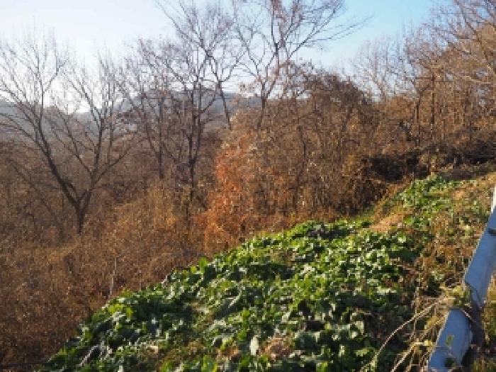 경남 밀양시 상남면 임야 경매 물건 사진 4 · 2025타경2212