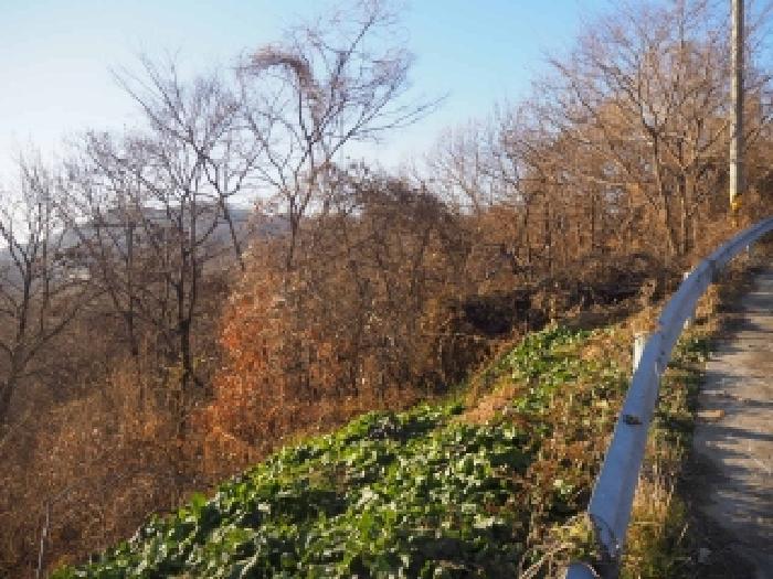 경남 밀양시 상남면 임야 경매 물건 사진 5 · 2025타경2212