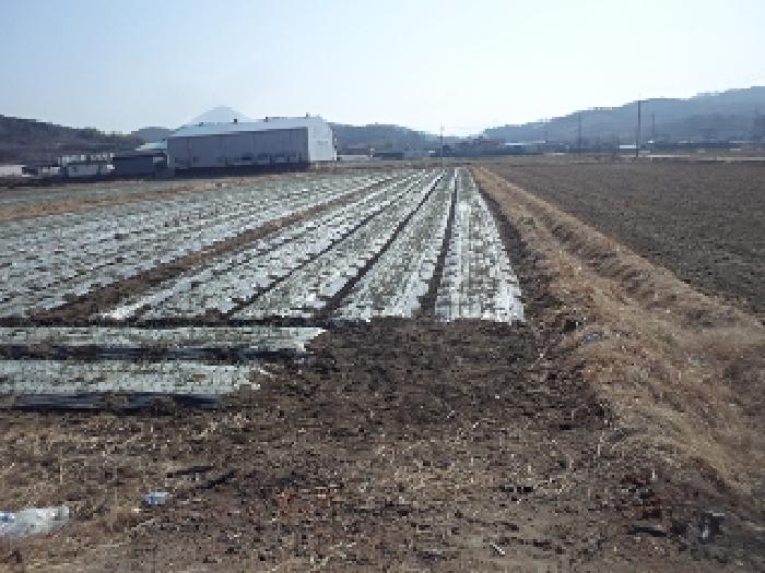 경남 창녕군 계성면 답 경매 물건 사진