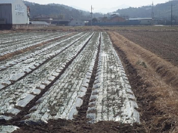 경남 창녕군 계성면 답 경매 물건 사진 2 · 2025타경230