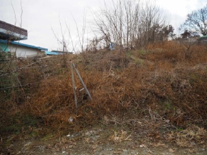 경남 창녕군 영산면 전 경매 물건 사진