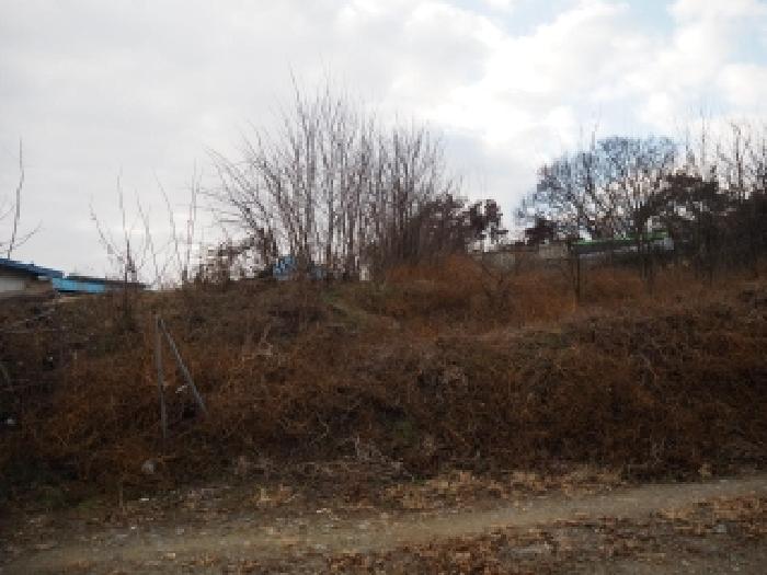 경남 창녕군 영산면 전 경매 물건 사진 4 · 2025타경2311