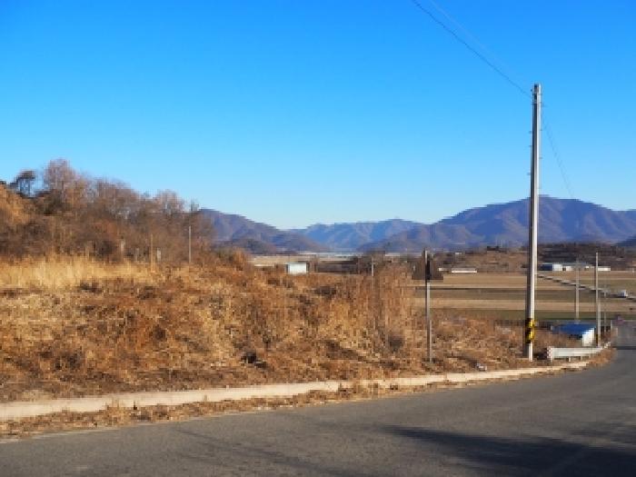 경남 밀양시 초동면 전답 경매 물건 사진 2 · 2025타경2359